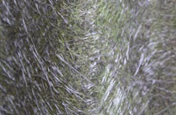 Glynmorlas fibreglass roof work